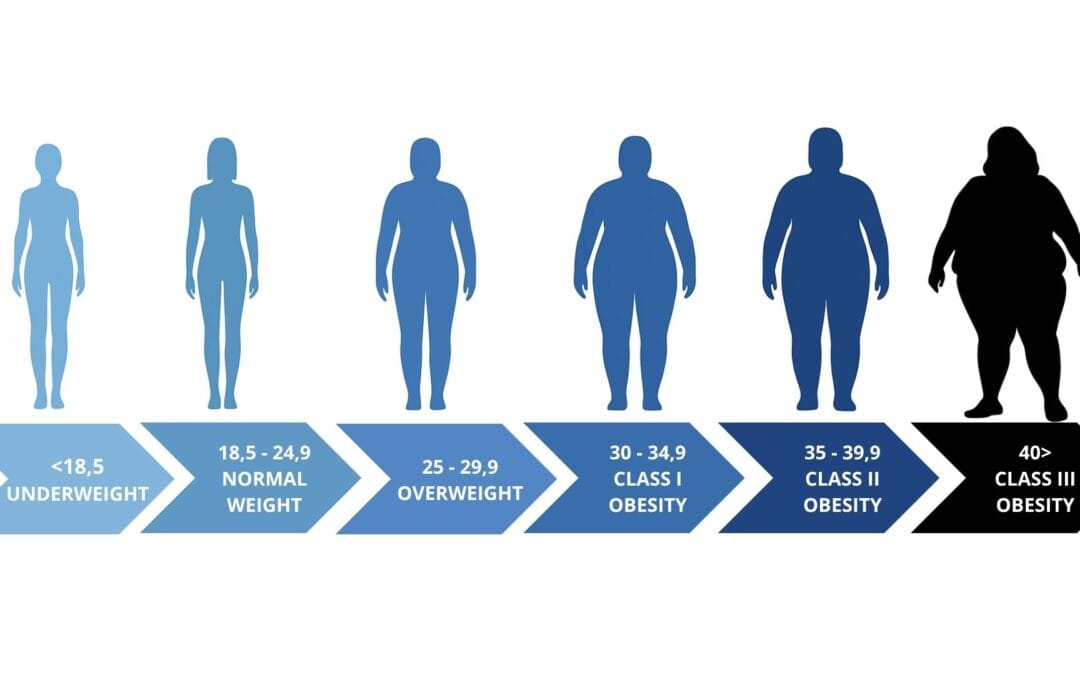 BMI Calculator