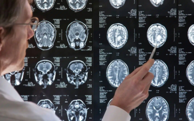 Gestação sob morte cerebral: o caso de Adriana Smith e o debate entre medicina, ética e legislação