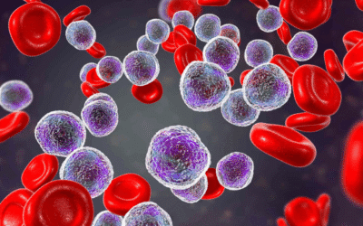 Leucemia: O Que É, Sintomas, Tipos e Tratamentos