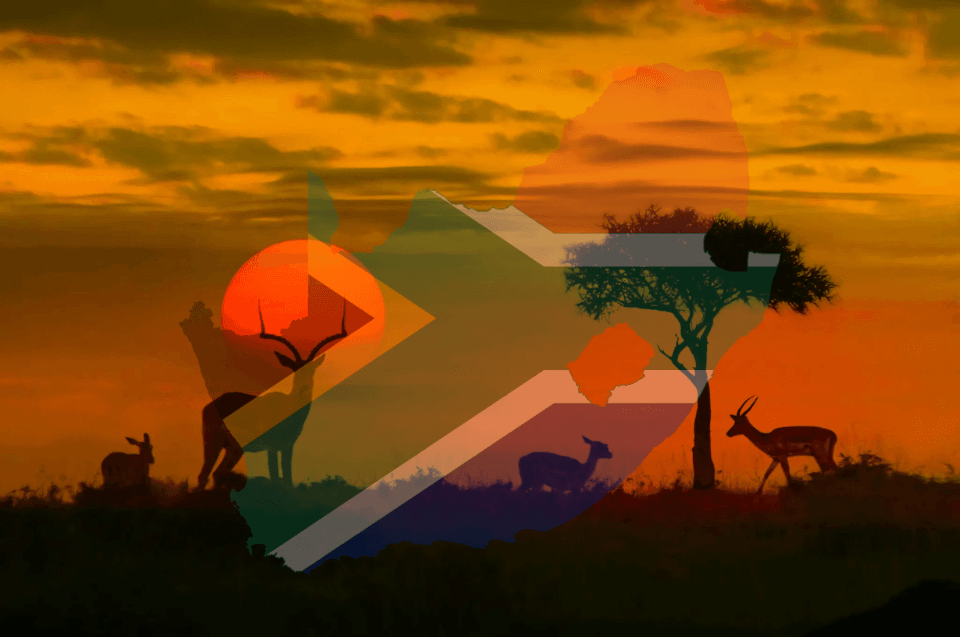 Healthcare in South Africa: Traveling Soon? Vaccines, Restricted Medications, and Essential Travel Tips