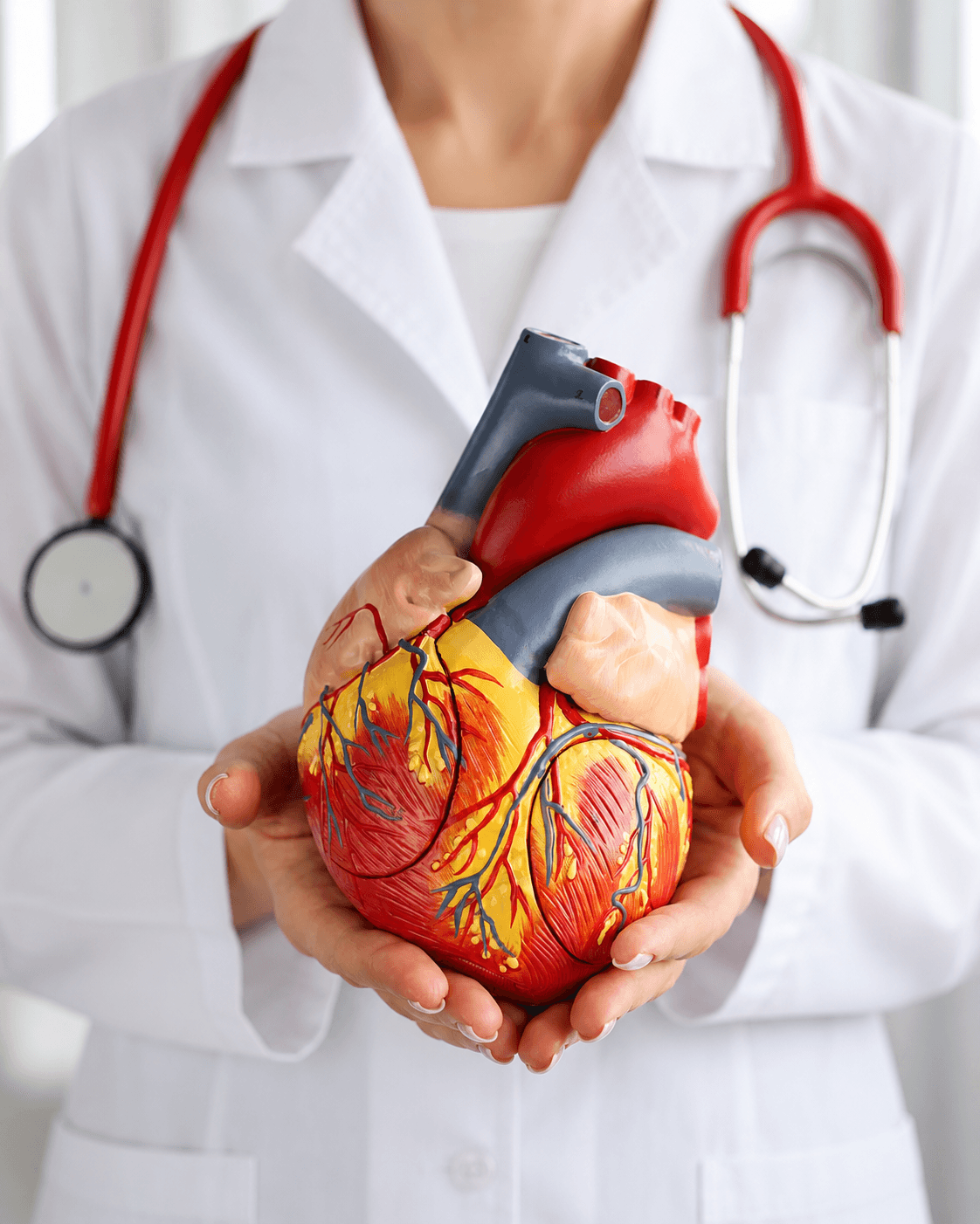 Cardiologia